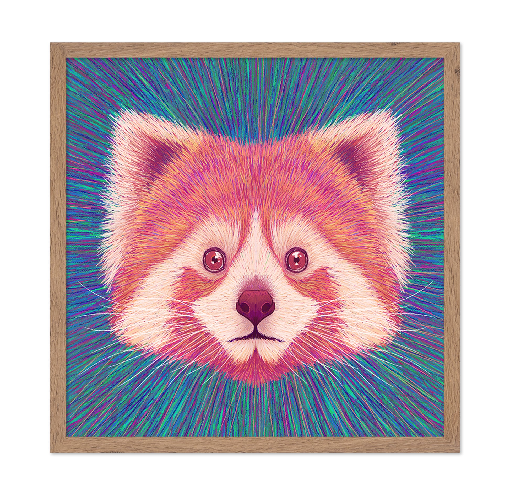 Psychedelic Red Panda
