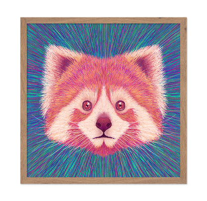 Psychedelic Red Panda