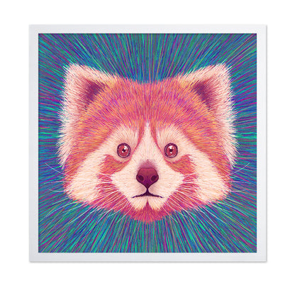 Psychedelic Red Panda