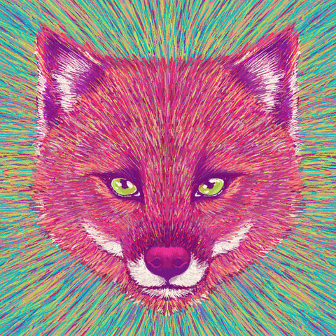 Neon Fox Face
