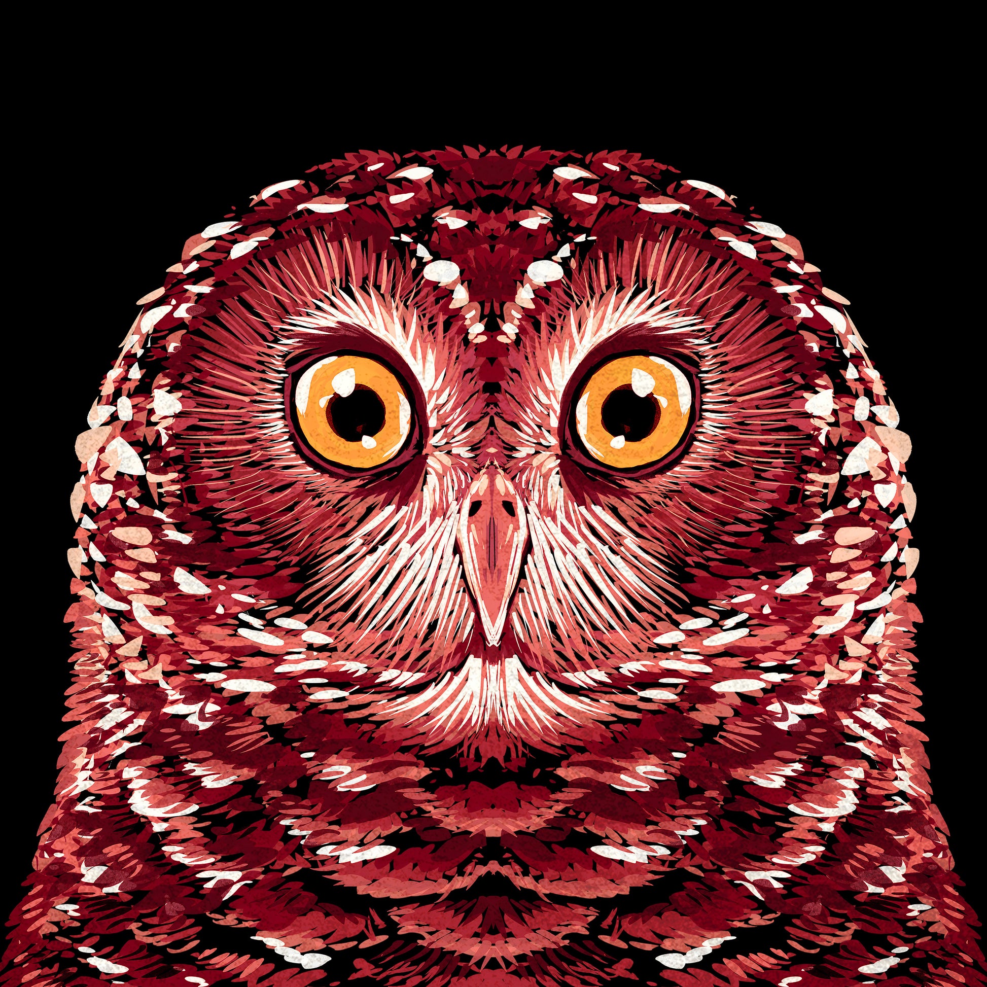 Red Owl Portrait