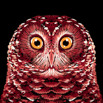 Red Owl Portrait