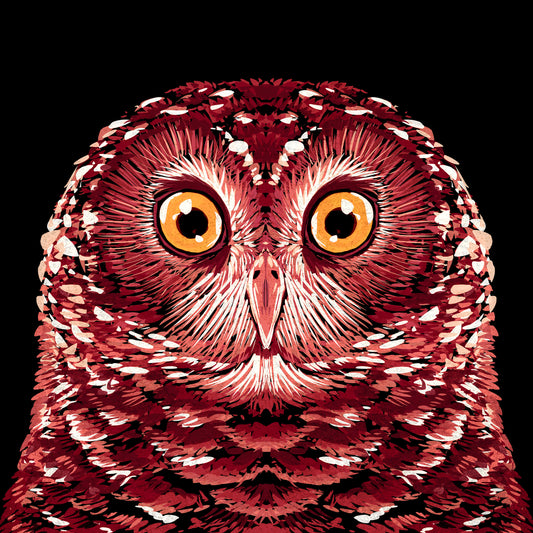 Red Owl Portrait