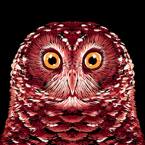 Red Owl Portrait