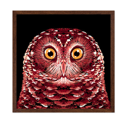 Red Owl Portrait