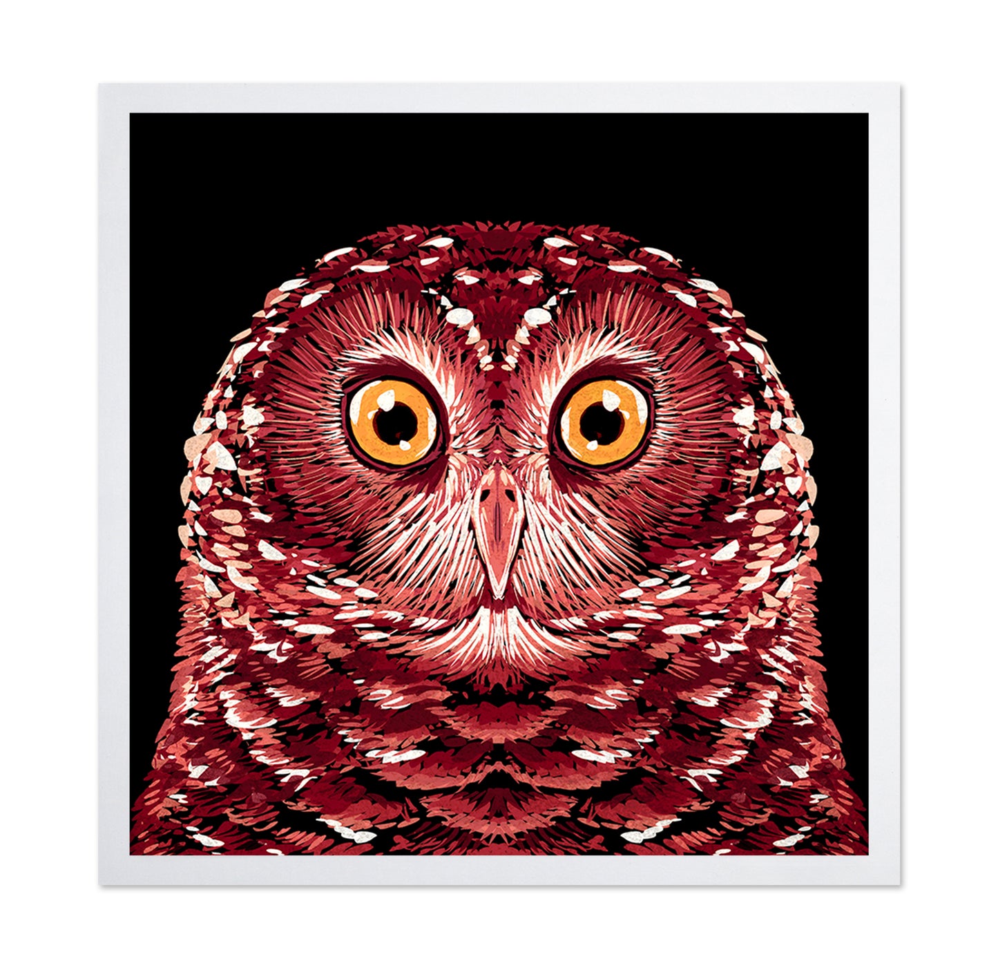 Red Owl Portrait