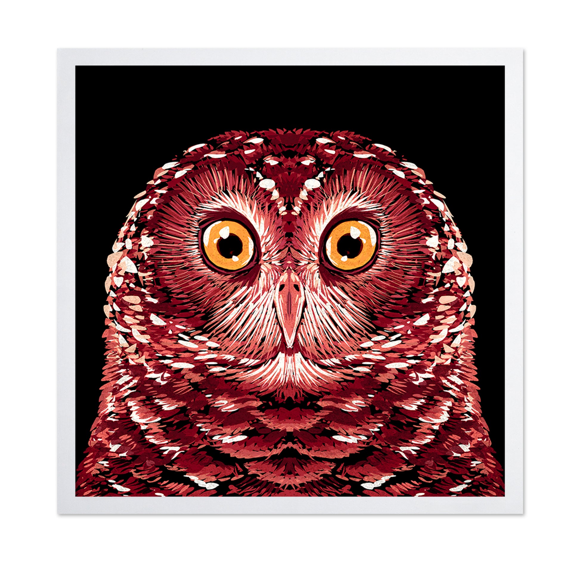 Red Owl Portrait