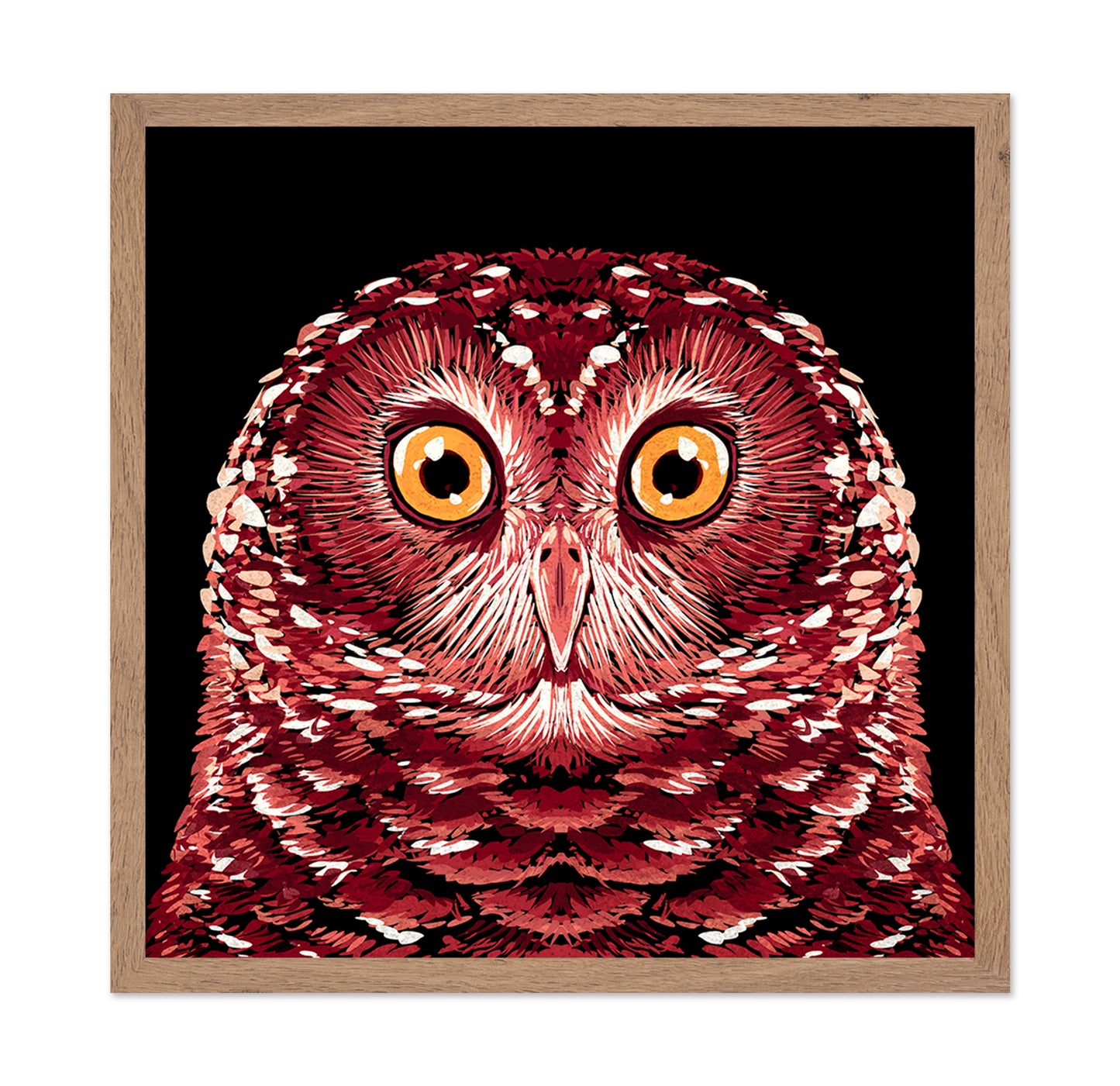 Red Owl Portrait