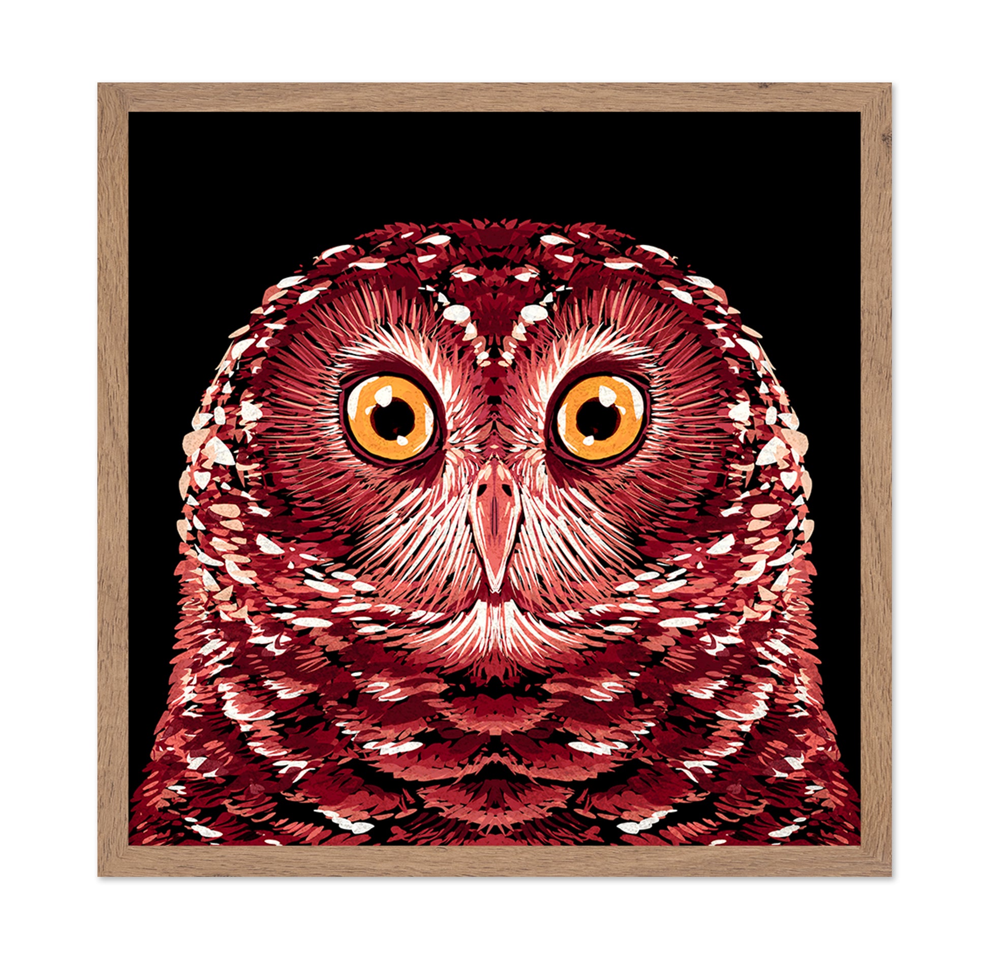 Red Owl Portrait