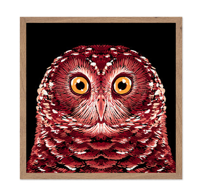 Red Owl Portrait