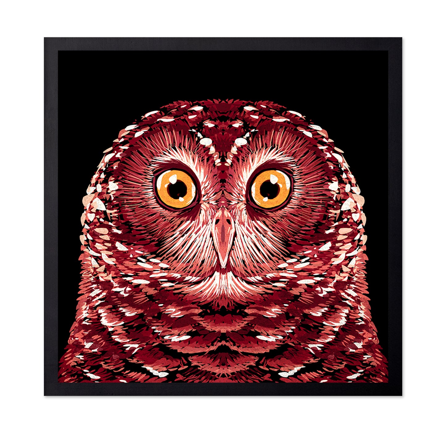 Red Owl Portrait