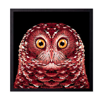 Red Owl Portrait