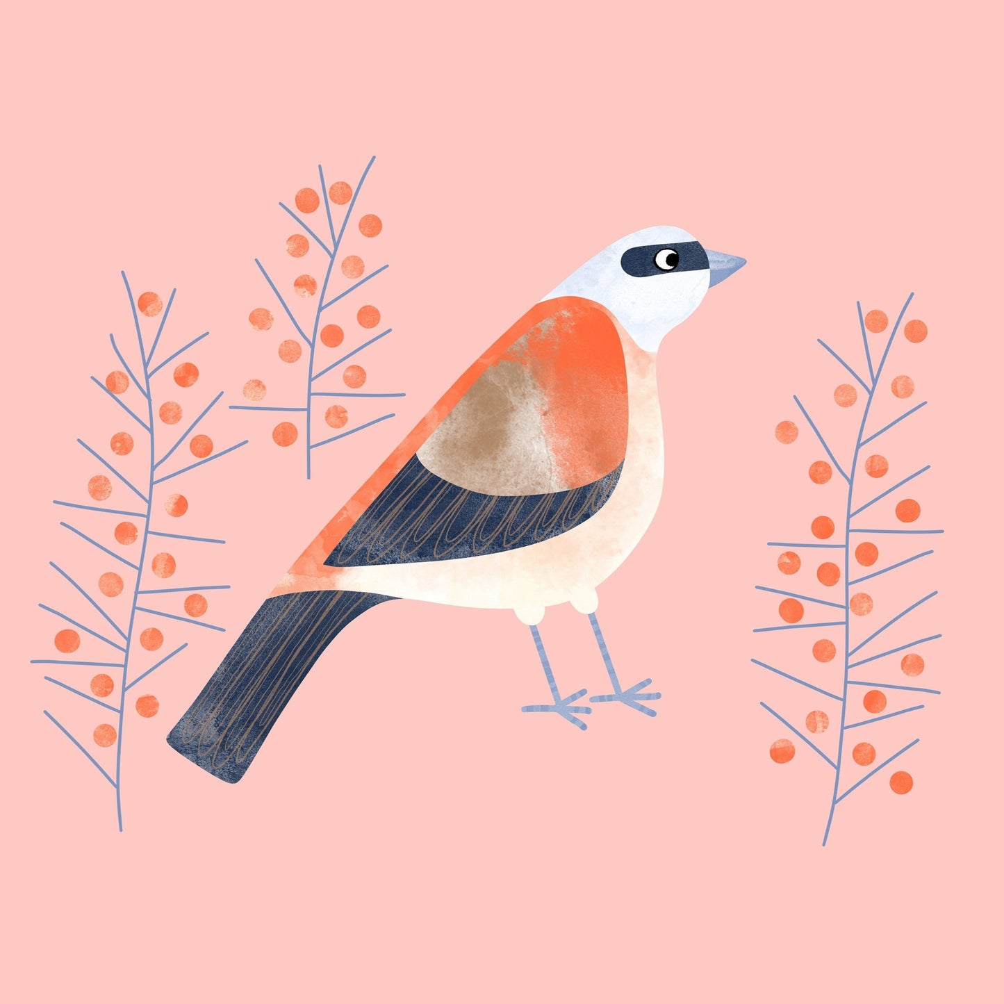 Berry Perch Bird