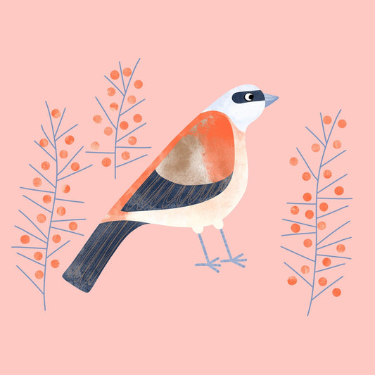 Berry Perch Bird