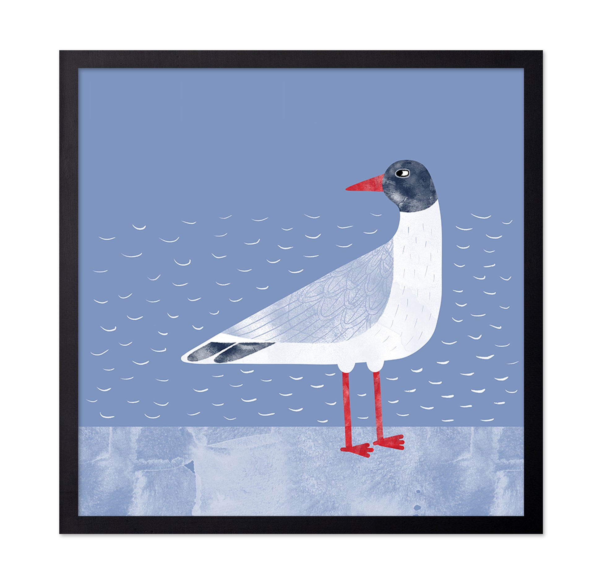 Coastal Seagull
