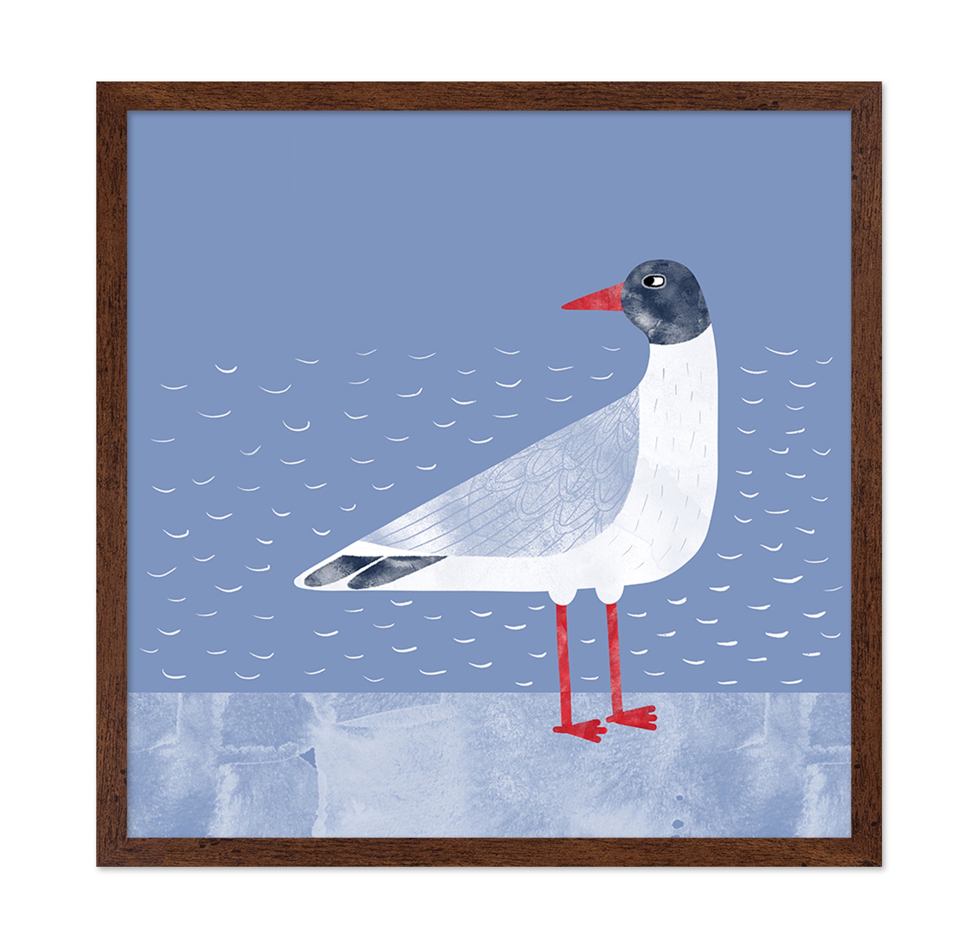 Coastal Seagull