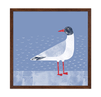 Coastal Seagull