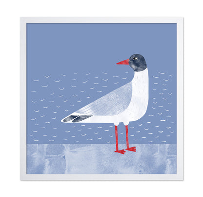 Coastal Seagull