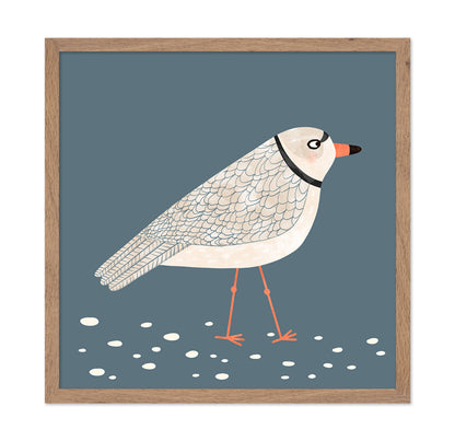 Quiet Shore Gull