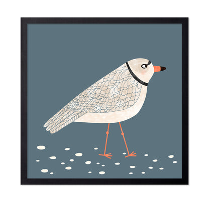 Quiet Shore Gull
