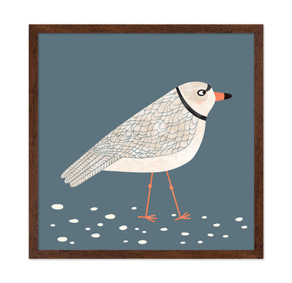 Quiet Shore Gull