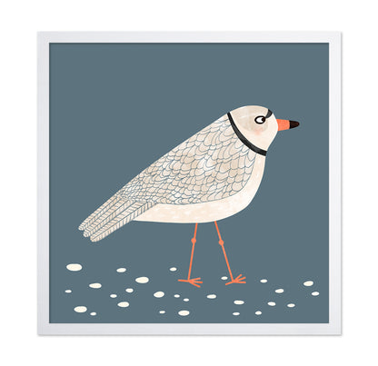 Quiet Shore Gull