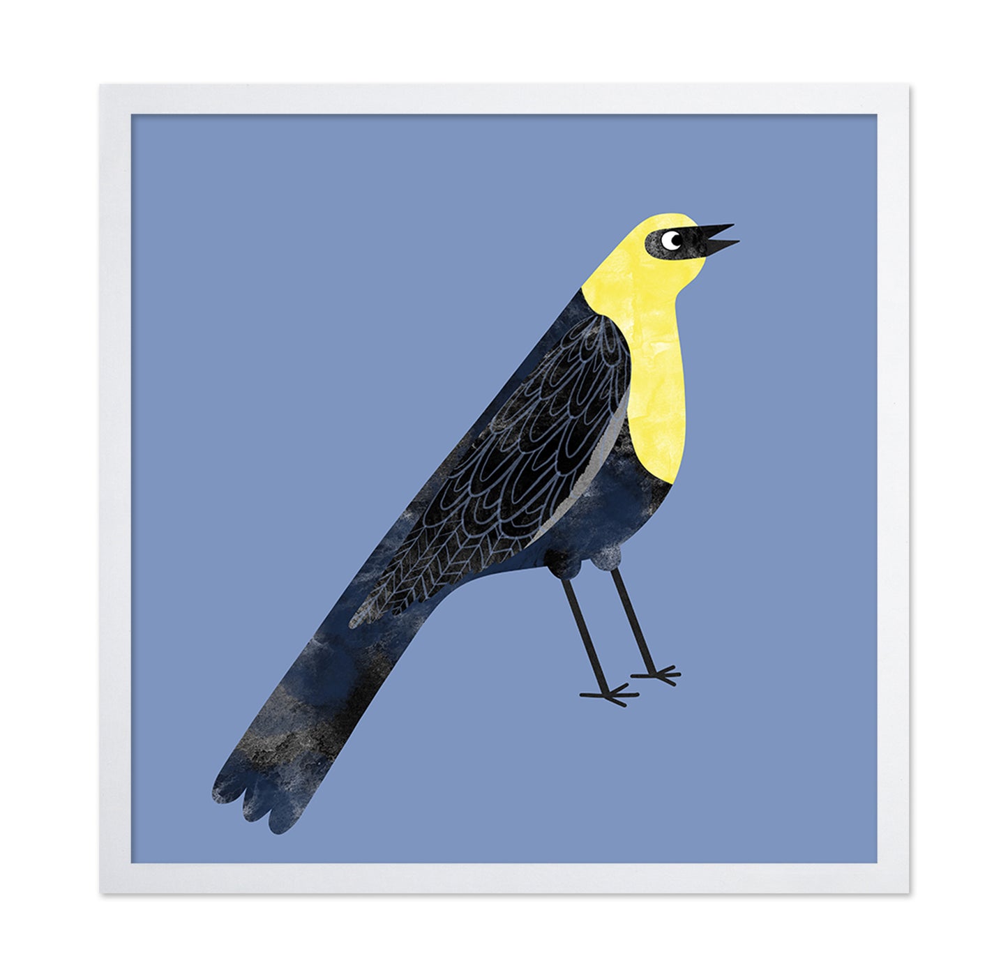 Yellow Head Blackbird