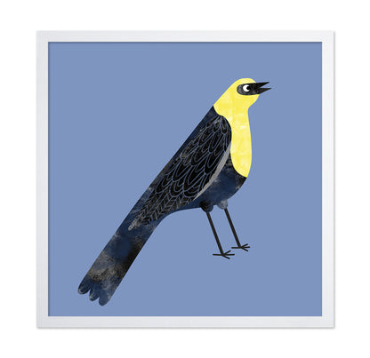 Yellow Head Blackbird