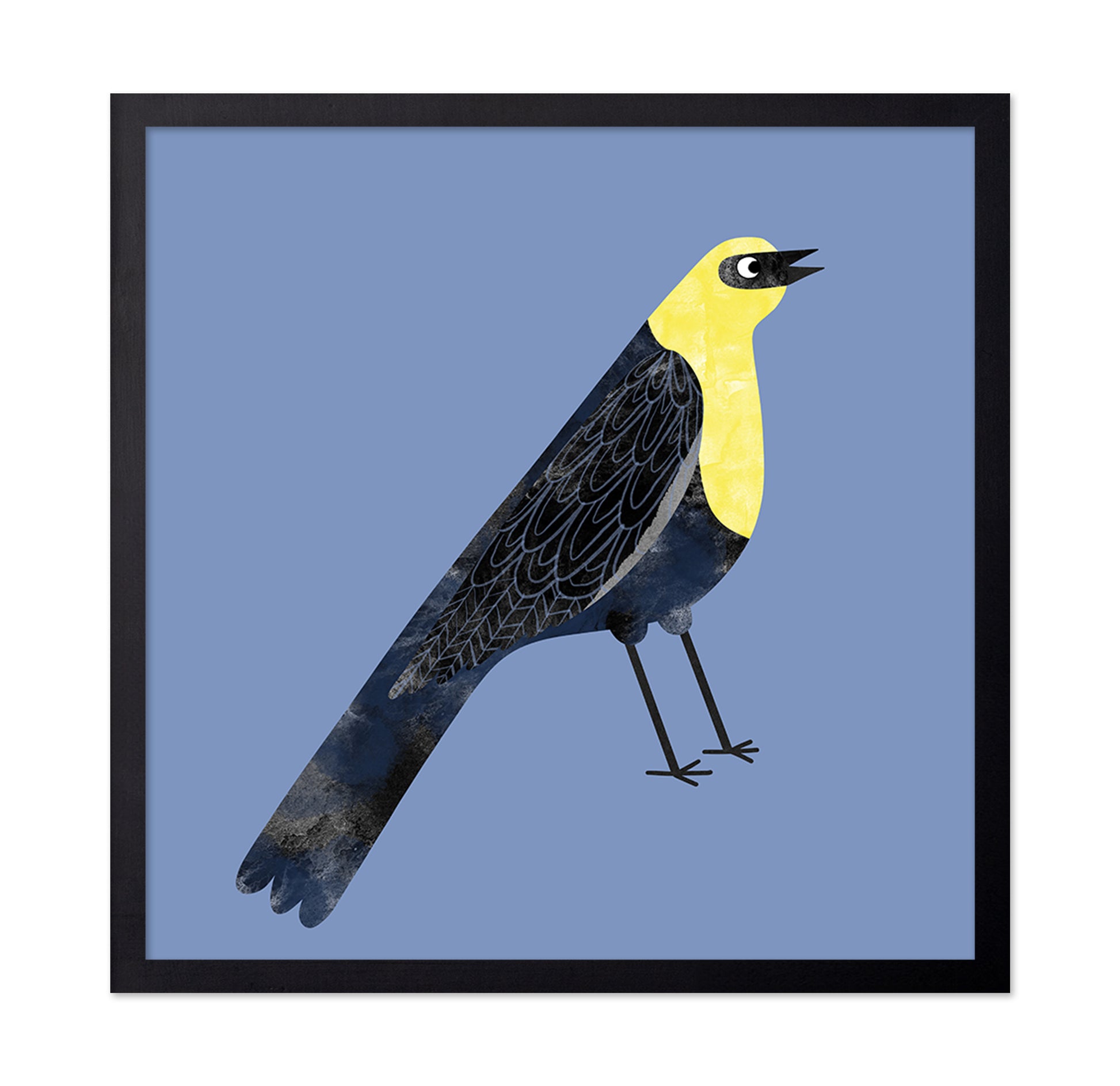 Yellow Head Blackbird