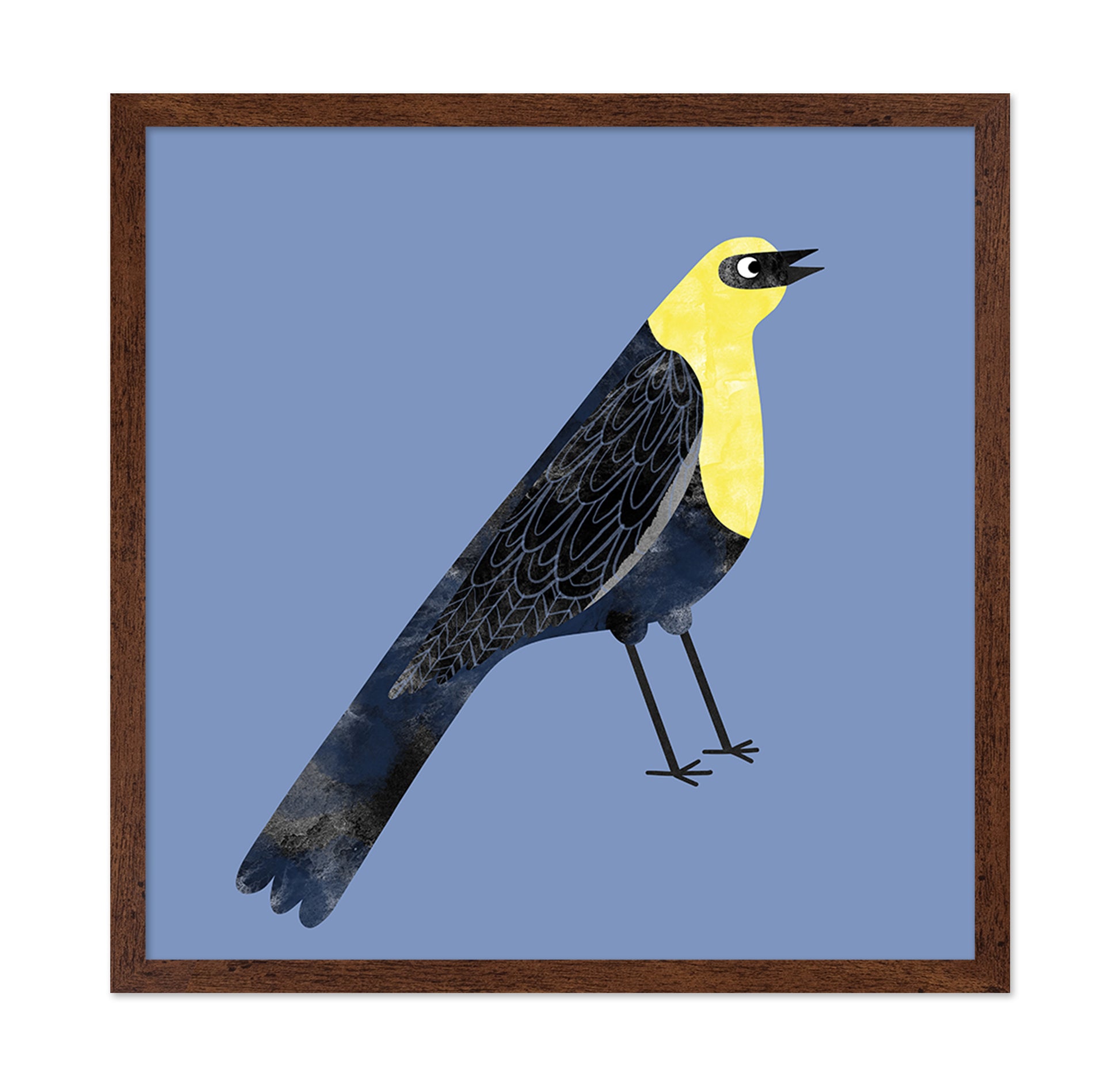 Yellow Head Blackbird