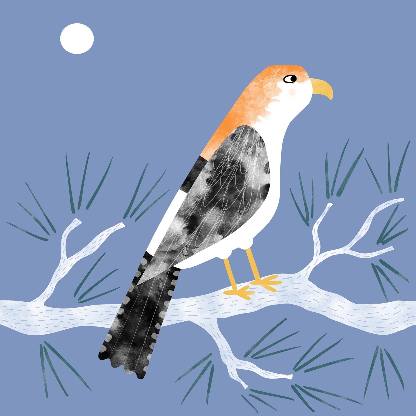 Moonlit Falcon