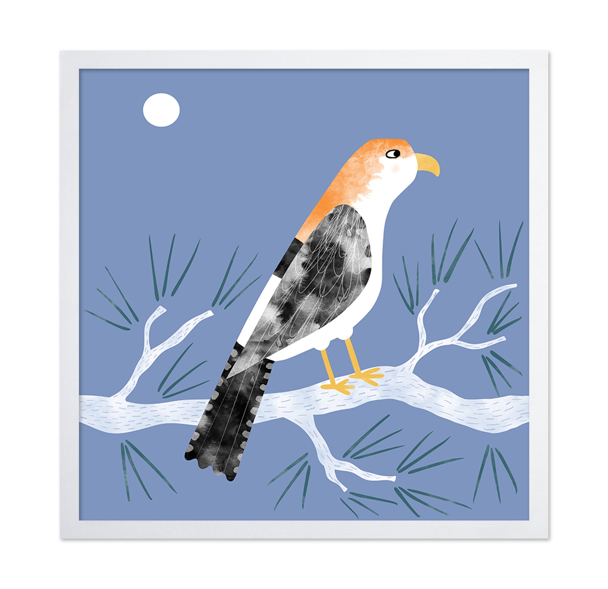 Moonlit Falcon
