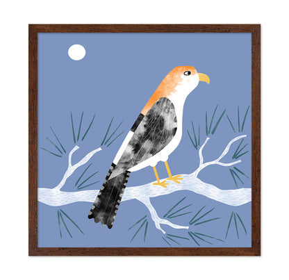 Moonlit Falcon