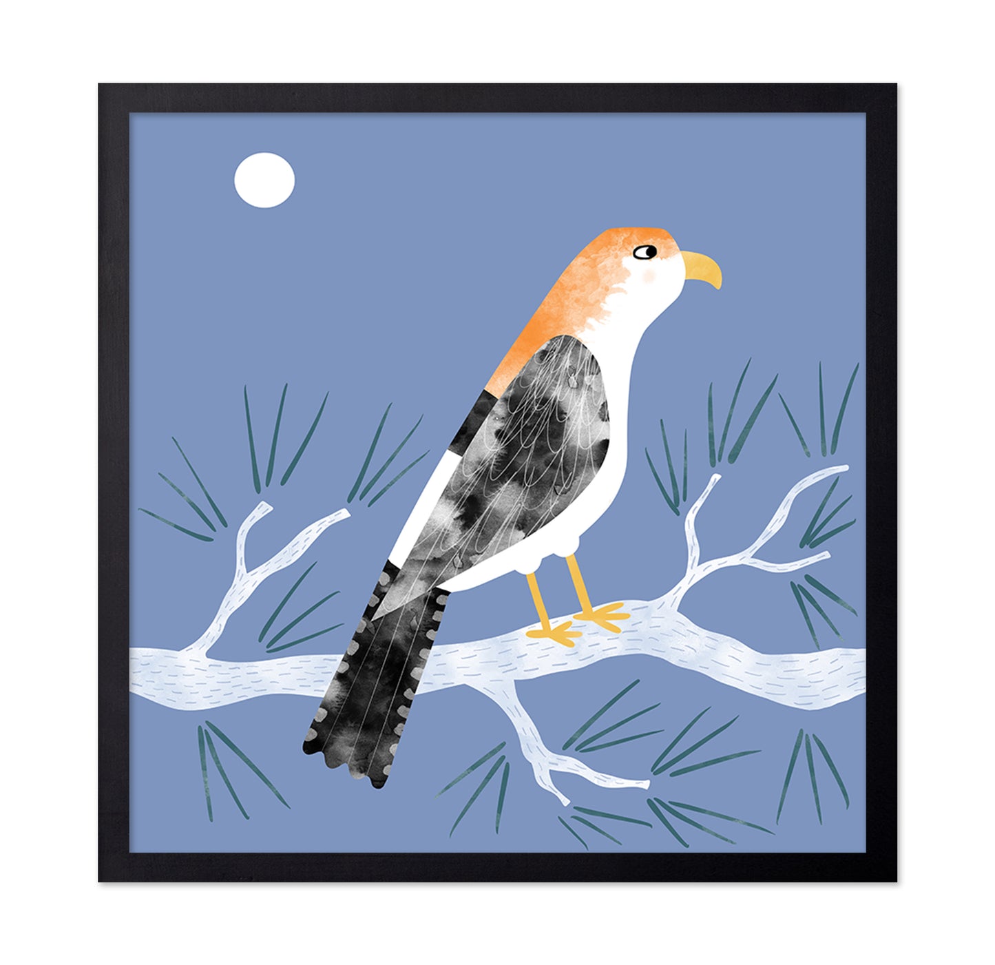 Moonlit Falcon
