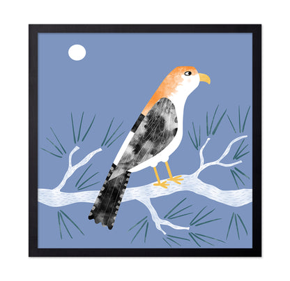 Moonlit Falcon