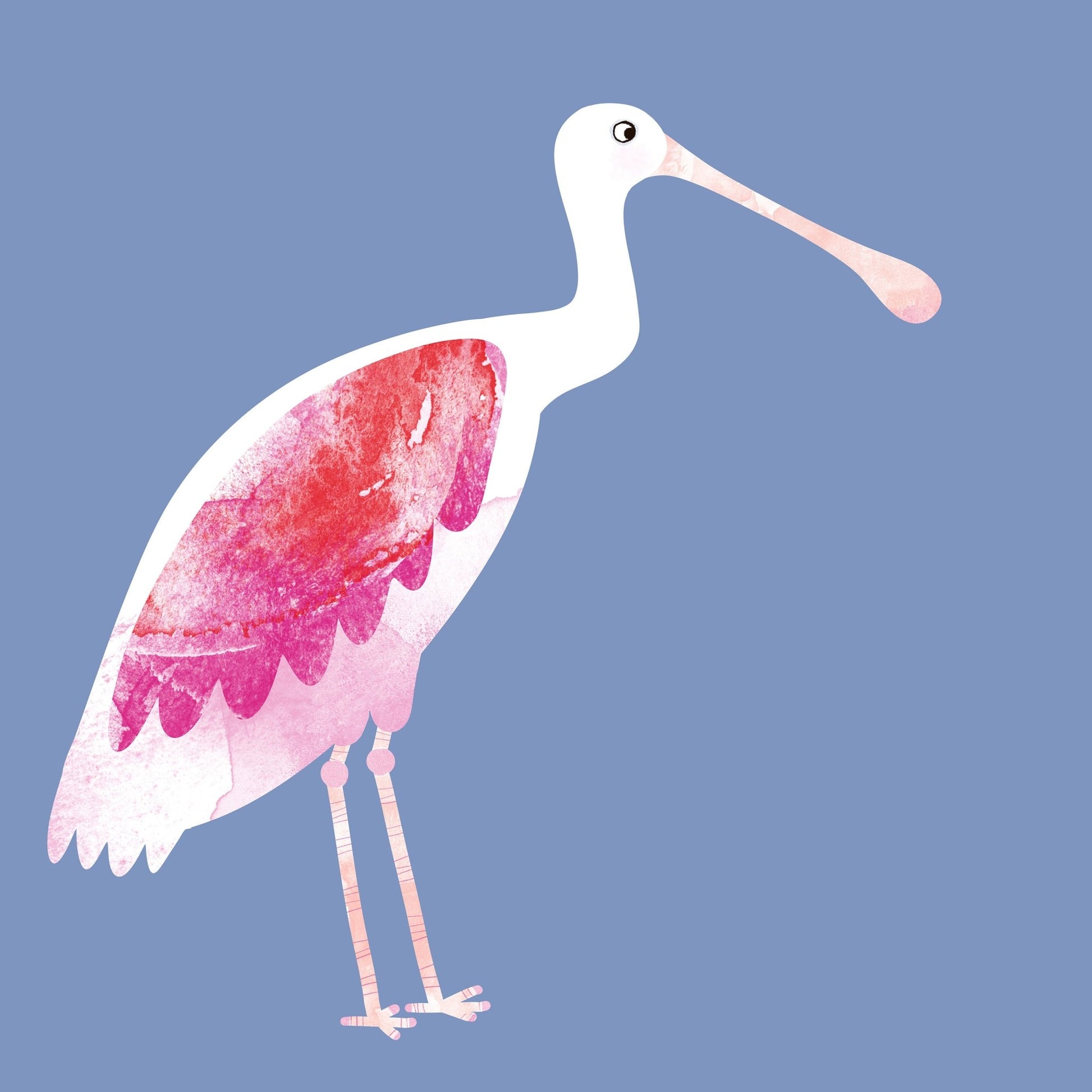 Blush Spoonbird