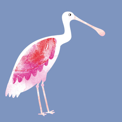 Blush Spoonbird