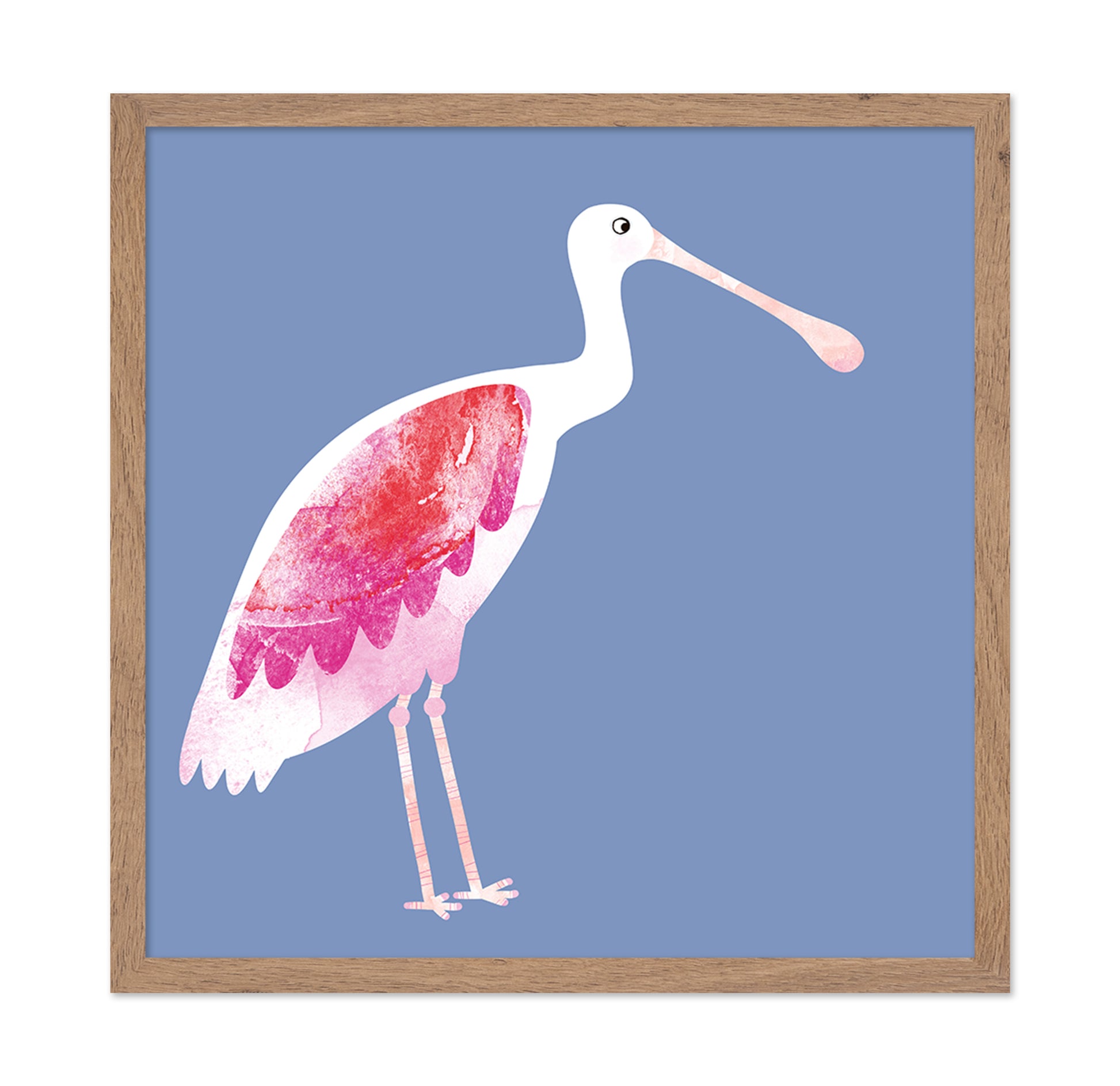 Blush Spoonbird