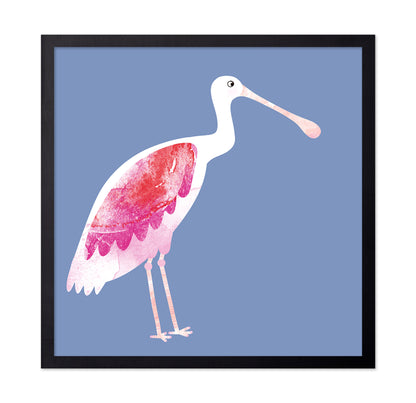 Blush Spoonbird