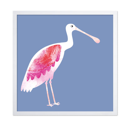 Blush Spoonbird