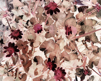 Inverted Floral Pattern