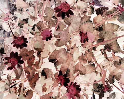 Inverted Floral Pattern