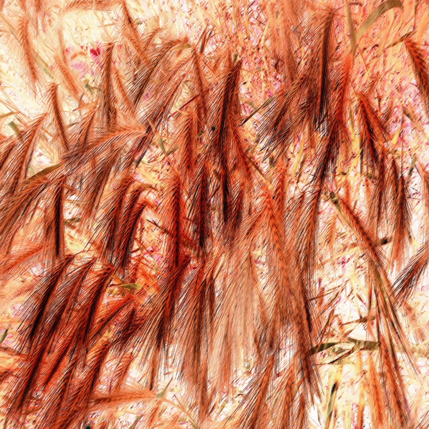 Fiery Wheat Texture