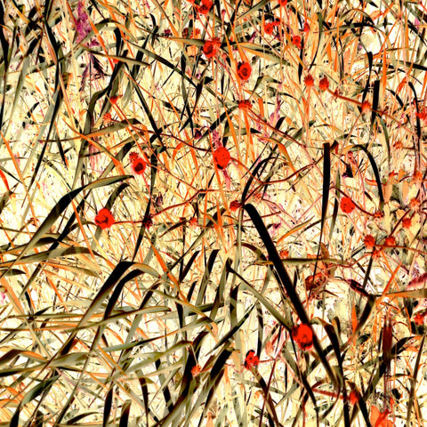 Tangled Blossom Field