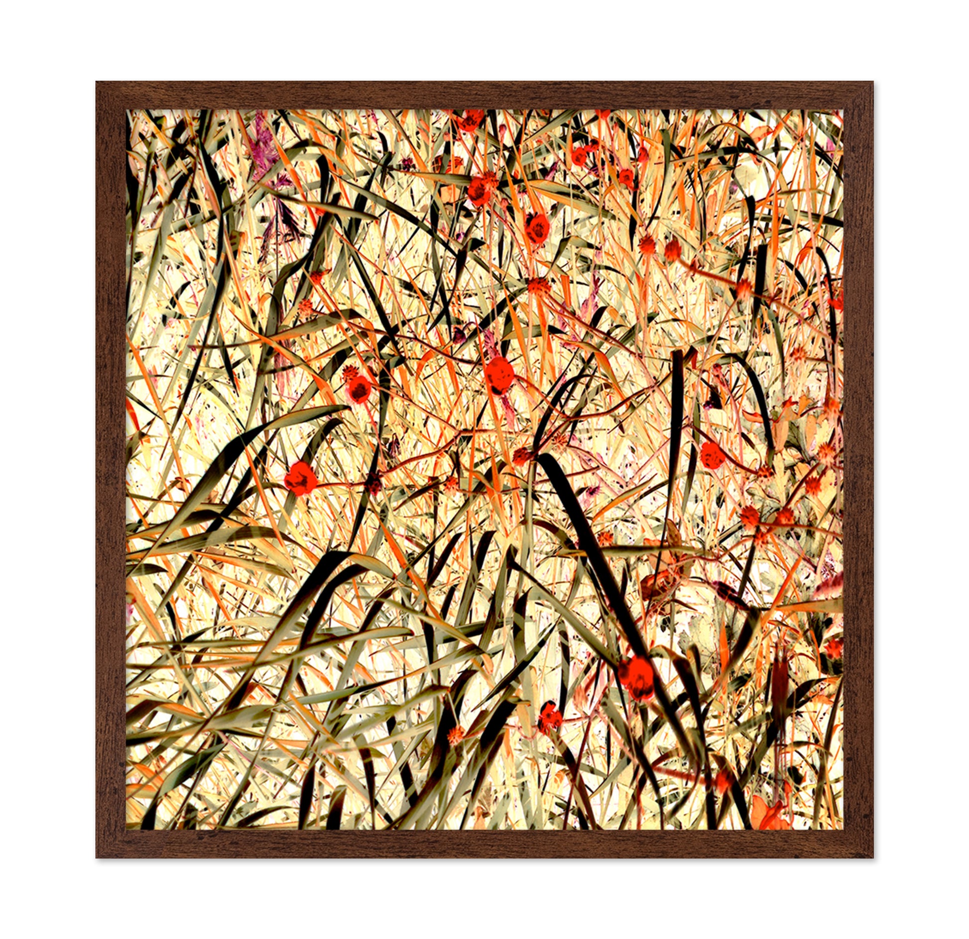 Tangled Blossom Field