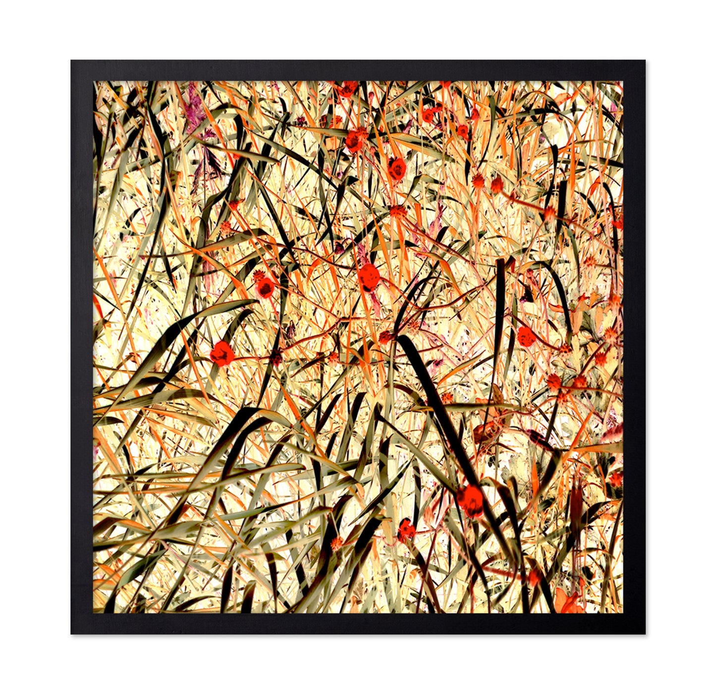 Tangled Blossom Field