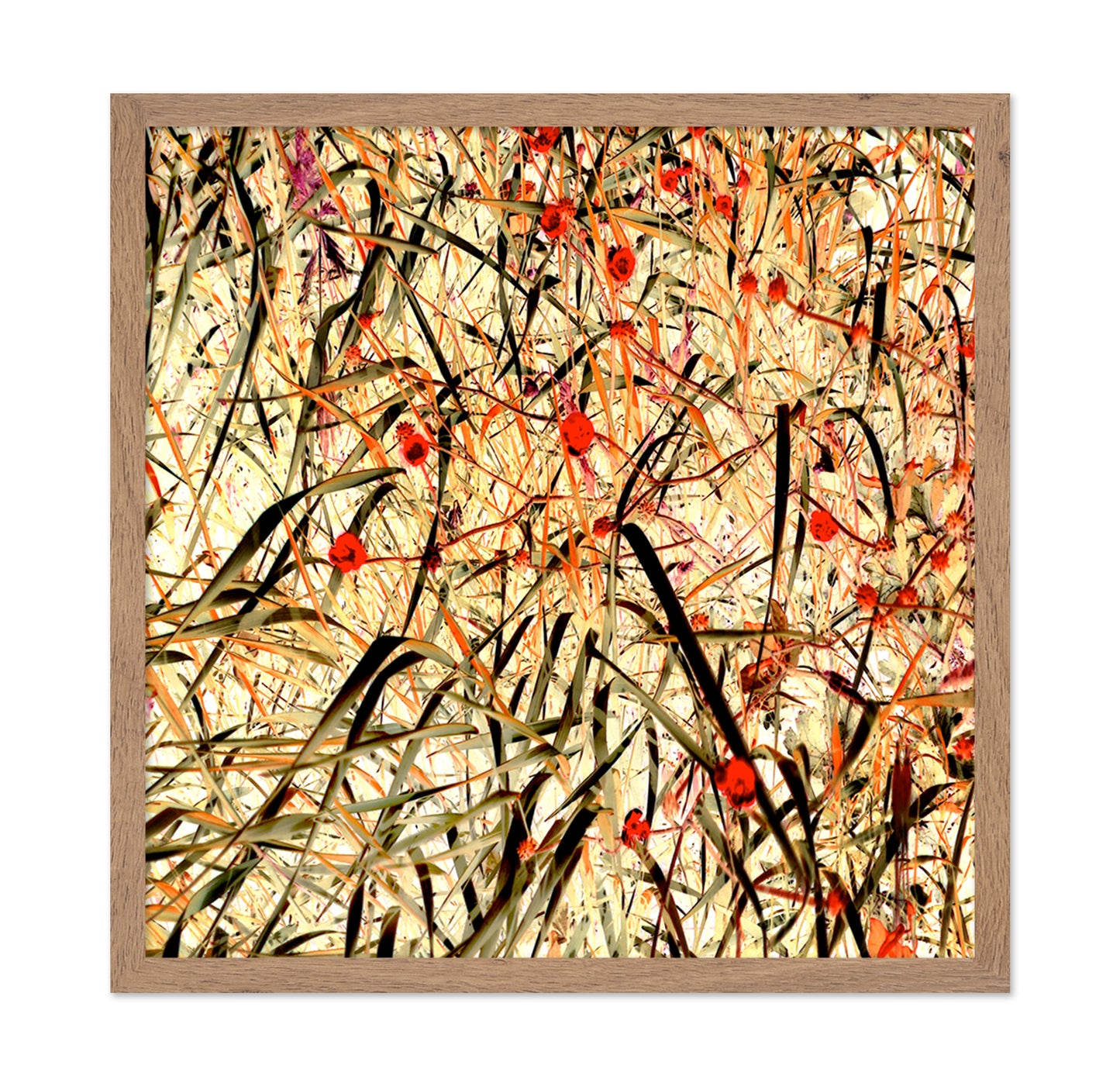 Tangled Blossom Field
