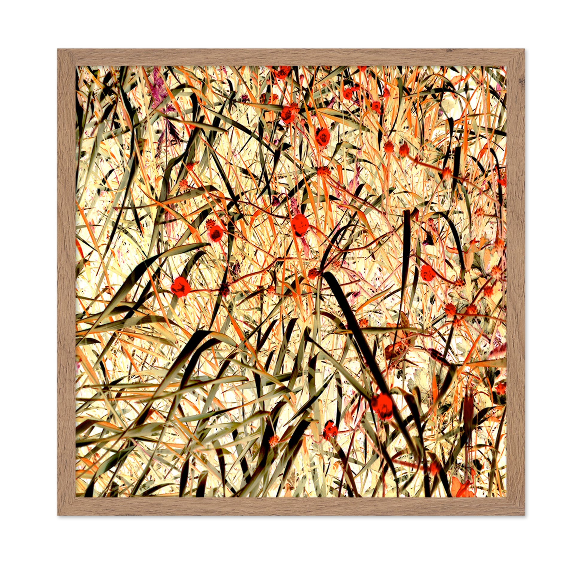 Tangled Blossom Field