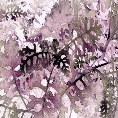 Purple Leaf Veil