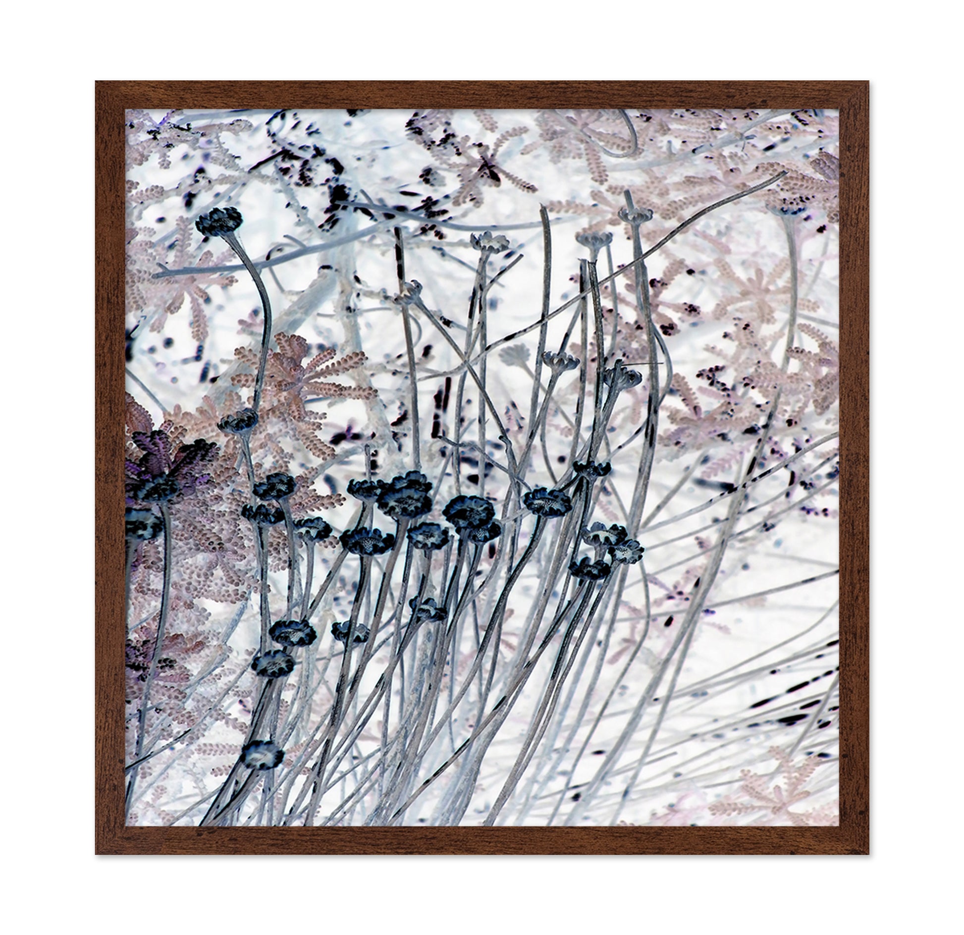 Delicate Stem Abstract